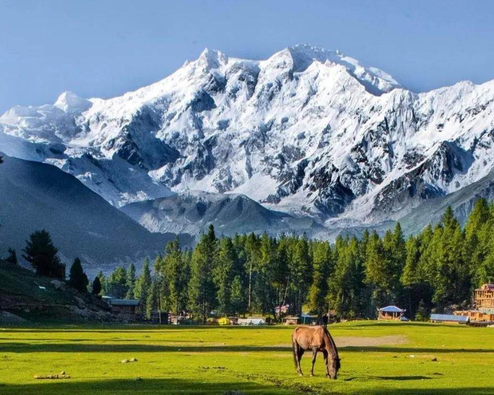 Nanga Parbat (8,126 meters)