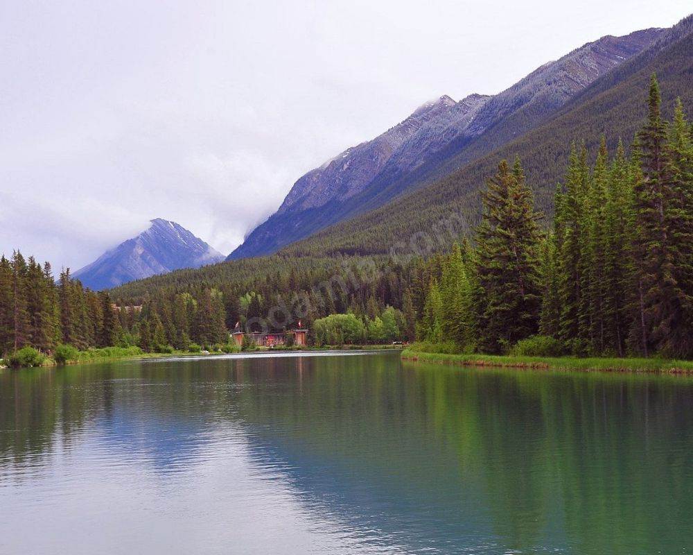 Bow River (Canada)