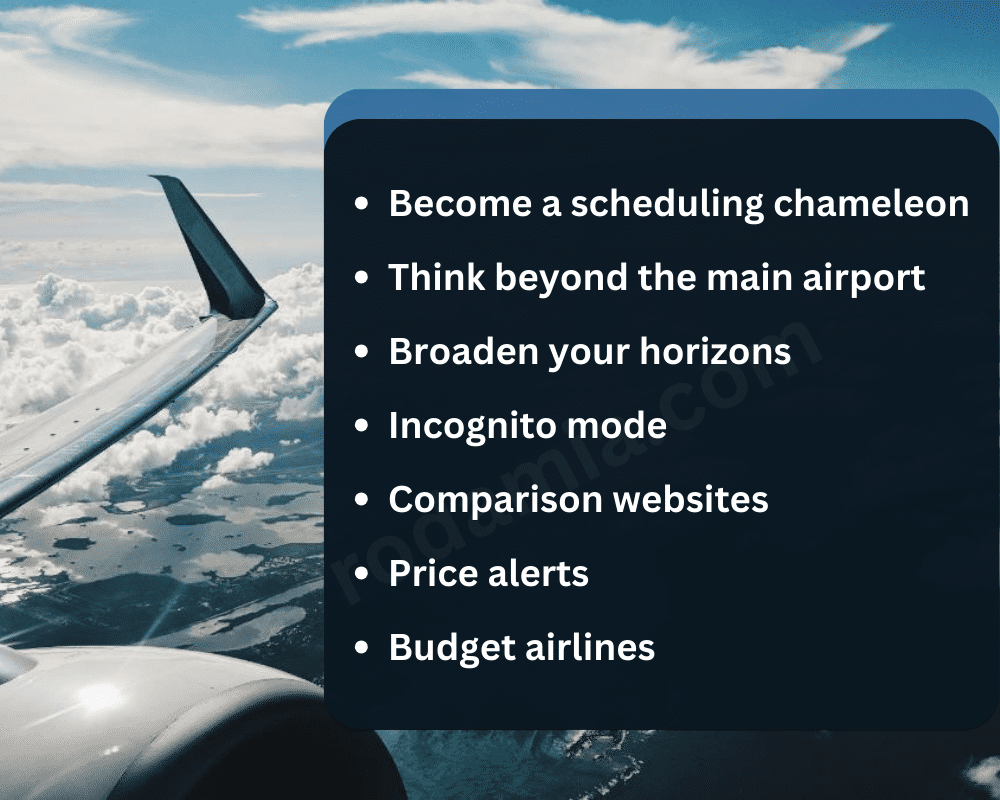 Conquering the Science of Economical Airfare Reservation