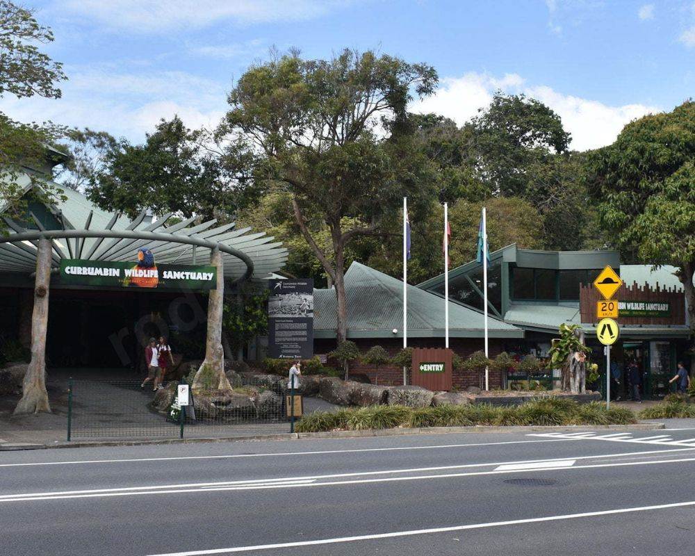 Currumbin Wildlife Sanctuary (Gold Coast)