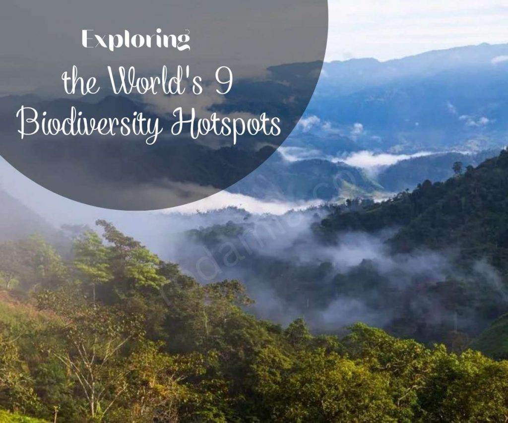 Exploring the World’s 9 Biodiversity Hotspots