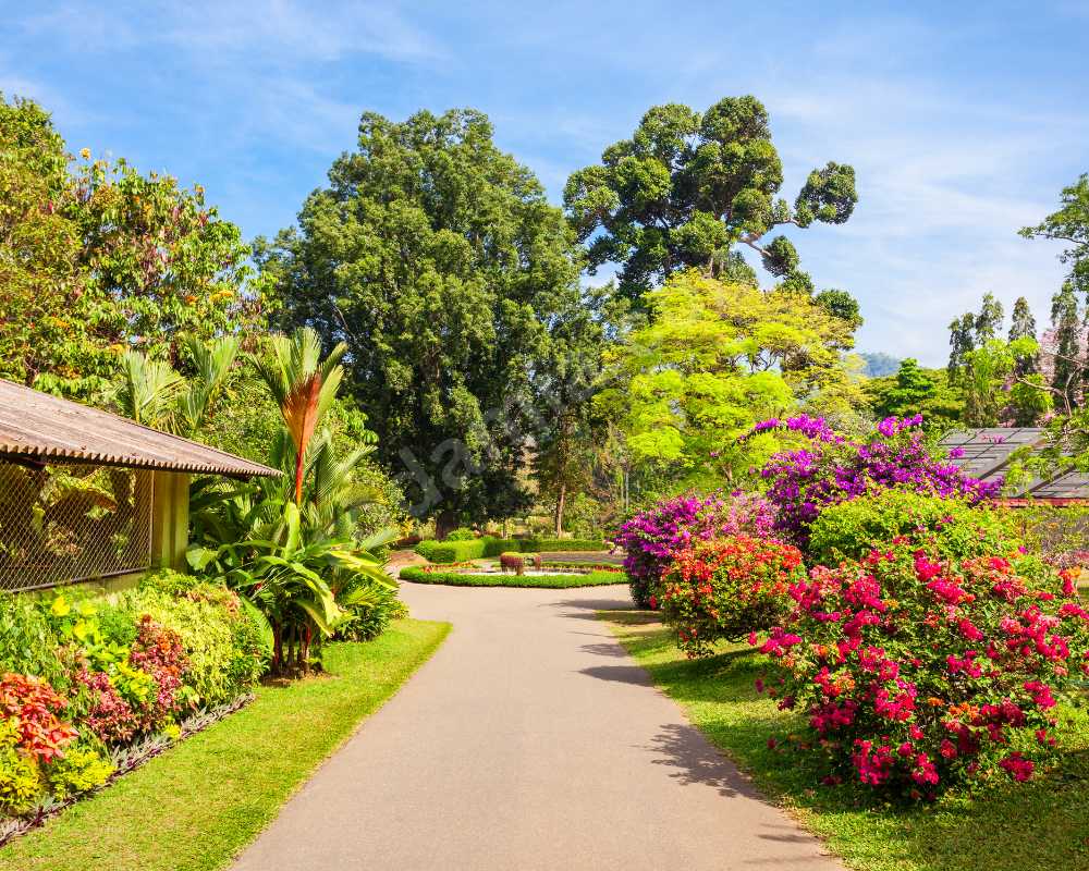 Royal Botanic Gardens, Melbourne