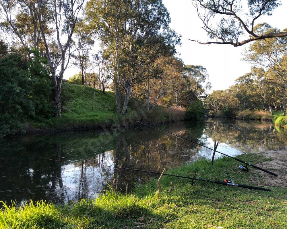 Torrens Riverbank Precinct, Adelaide