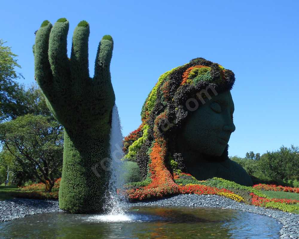 Botanic Gardens, Darwin