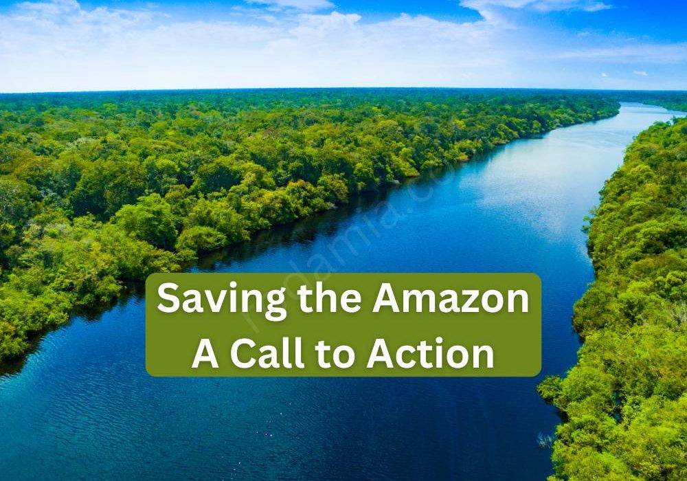 Saving the Amazon A Call to Action