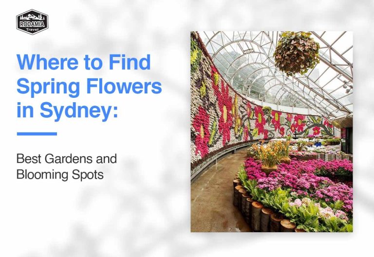 Where to Find Spring Flowers in Sydney: Best Gardens and Blooming Spots
